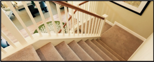 bayside carpet cleaning